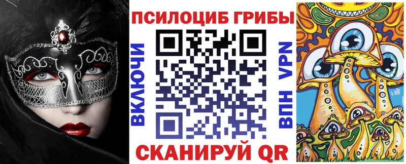 кракен как войти  shop официальный сайт  Верхнеуральск  Галлюциногенные грибы Cubensis  сколько стоит 